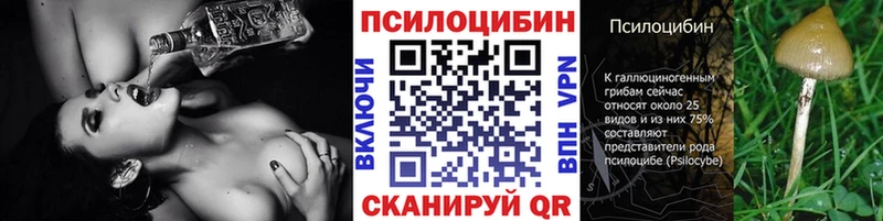 Галлюциногенные грибы мицелий  Шахунья 
